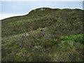 NG4353 : Outcrop north of Dun Coire Falaich by John Allan