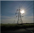 Carlton pylons