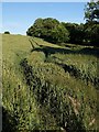 Wheatfield, Glazegate Cross