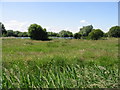 Looking S along the Newnham Valley