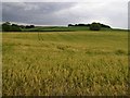 Dunaverney Townland