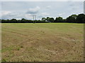 Mown field at Suckley Green