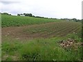 Springfield Townland