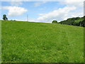 Pasture land near Horner Mill