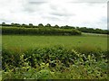 Ardarral Townland