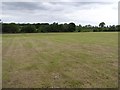 Cabragh Townland