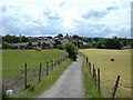 Footpath to Thorp