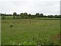 Cabragh Townland