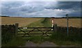 Bridleway near Catshaw