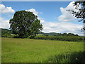 Meadow near Camer