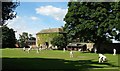 Cricket on the green