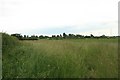 Farmland, Church Laneham (1)