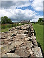 NZ1366 : Hadrian's Wall, Heddon-on-the Wall by wfmillar