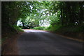 Upper Haysden Lane in the trees