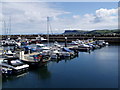 Ballycastle Marina