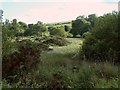 Fowey valley near Dozmaryhill