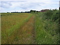 Footpath nearing houses