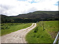 Looking towards Beinn Bhuidhe from Dunmaglass Track