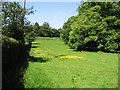 Meadow near Henbury Lodge