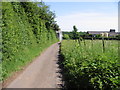 Looking SE along lane towards Standardhill Farm