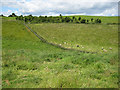 Hillside pasture near Pauntley Court