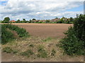 The last ploughed field