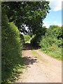 Public bridleway and Poets Path I