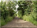 The road to Scaldhurst Farm and Camp Farm