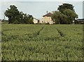 Looking across a field to Biggins Farm