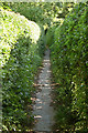 Footpath from Westhorpe