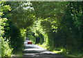 2008 : Road near Norbin Barton Farm