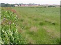 Looking SE from Pay Street towards new housing development at Hawkinge