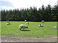 Maternity ward near Reaygarth