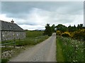 Cottage on the Bach Road