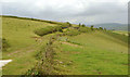 SS8686 : Hillside track above Cwm Nant-gwyn by eswales
