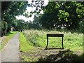 Redhill: entering the common from the north