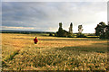 SK4336 : Path Through a Field of Barley by David Lally