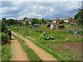 Allotments, North Town, Maidenhead