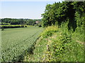 Looking N towards Elham