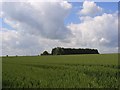 Farmland, Rudge