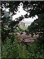 Mullensgrove Farm through the hedge