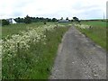 Farm road towards Greenford