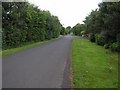 Road near Leek