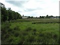 Farm near Leek