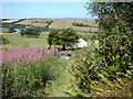 Cemetery at Mynydd Bach