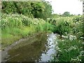 ST0070 : Downstream, Nant Stepsau, Flemingston by Mick Lobb