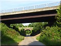 North Downs Way, Compton