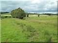 Farmland View