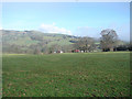 Looking towards Ffridd-isaf