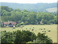 From the wood below Watlington Hill